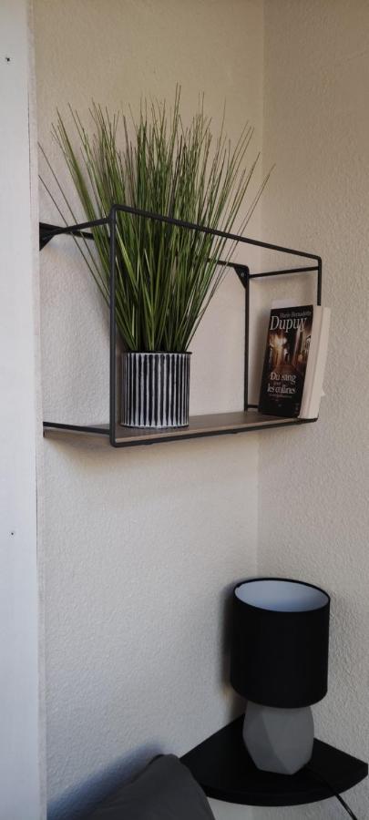 Appartement T2 A Bernex Avec Wifi, Vue Sur Montagne Exterior photo